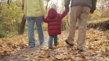 后视图蹒跚学步的男孩在红色夹克走在公园小巷与祖父母在五颜六色的秋天景观高级夫妇